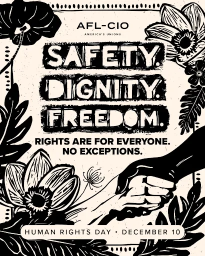 Human Rights Day | An image with the words, "Safety Dignity Freedom | Rights are for Everyone. No Exceptions."